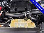 Used 2020 Ford F-150 XLT SuperCrew Cab for sale #F6290GH - photo 11