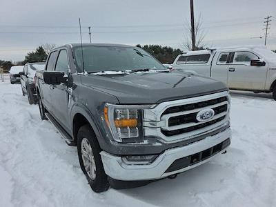 Used 2023 Ford F-150 - photo 1