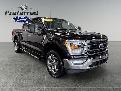 Used 2023 Ford F-150 - photo 1