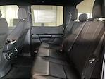 New 2026 Ford F-150 STX SuperCrew Cab for sale #5260186 - photo 13