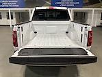 New 2026 Ford F-150 XLT SuperCrew Cab for sale #5260252 - photo 5