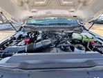 New 2024 Ford F-550 Regular Cab Cab Chassis for sale #N25002 - photo 13