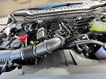 2025 Ford F-350 Regular Cab SRW 4x4 Plow Truck for sale #N25003 - photo 10