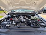 New 2025 Ford F-600 Regular Cab Cab Chassis for sale #N25074 - photo 16