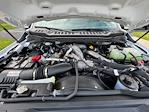 New 2025 Ford F-600 Regular Cab Cab Chassis for sale #N25088 - photo 15