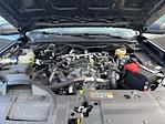New 2025 Ford Ranger XL SuperCrew Cab for sale #251287 - photo 23