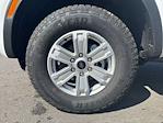New 2025 Ford Ranger XL SuperCrew Cab for sale #251304 - photo 8