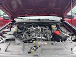 New 2025 Ford Ranger XL SuperCrew Cab for sale #251306 - photo 23