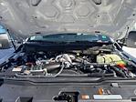 New 2026 Ford F-600 Regular Cab Cab Chassis for sale #260048 - photo 19