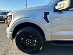 Used 2025 Ford F-150 STX SuperCrew Cab for sale #43485A - photo 14
