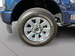 Used 2020 Ford F-250 Platinum Crew Cab for sale #LED00714F1 - photo 9