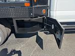 2025 Ford F-350 Crew Cab DRW 4WD Flatbed Truck for sale #SED61647NF - photo 10
