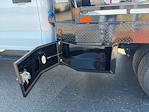 2025 Ford F-350 Crew Cab DRW 4WD Flatbed Truck for sale #SED61647NF - photo 9