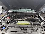 New 2025 Ford F-150 Tremor SuperCrew Cab for sale #25T1319 - photo 29