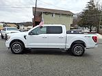 Used 2023 Ford F-150 XLT SuperCrew Cab for sale #TR7115 - photo 4