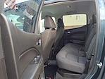 2019 Chevrolet Colorado Crew Cab 4WD Pickup for sale #TR7120 - photo 15