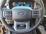 Used 2024 Ford F-150 Lariat SuperCrew Cab for sale #TR7124 - photo 11