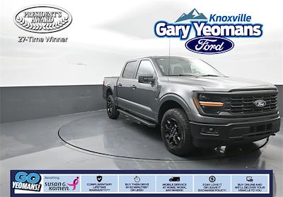 New 2025 Ford F-150 - photo 1