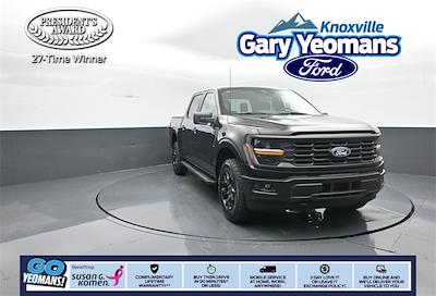 New 2025 Ford F-150 - photo 1