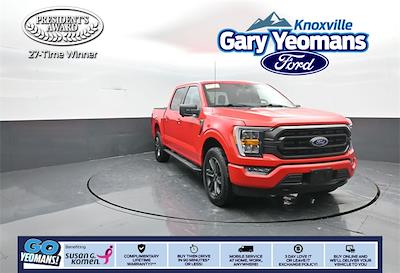 Used 2023 Ford F-150 - photo 1
