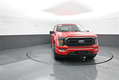 Used 2023 Ford F-150 - photo 1