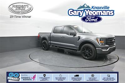 Used 2023 Ford F-150 - photo 1