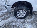 2015 Ford F-250 Crew Cab 4x4 Pickup for sale #250444B - photo 10