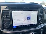 2025 Ford F-150 SuperCrew Cab 4x4 Pickup for sale #250901 - photo 15