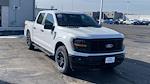 2025 Ford F-150 SuperCrew Cab 4x4 Pickup for sale #250944 - photo 1