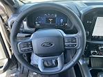 2026 Ford F-150 SuperCrew Cab 4x4 Pickup for sale #260199 - photo 14