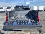 2026 Ford F-150 SuperCrew Cab 4x4 Pickup for sale #260225 - photo 19