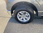 2023 Ford F-150 SuperCrew Cab 4x4 Pickup for sale #P15224 - photo 10