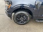 2024 Ford F-150 SuperCrew Cab 4x4 Pickup for sale #P15280 - photo 10