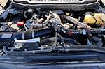 Used 2023 Ford F-250 Platinum Crew Cab for sale #SEC30264A - photo 10
