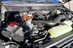 New 2025 Ford F-150 Platinum SuperCrew Cab for sale #SFB87338 - photo 10