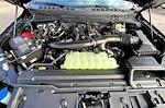 New 2025 Ford F-150 Tremor SuperCrew Cab for sale #SFC27481 - photo 11