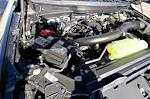 New 2025 Ford F-150 Tremor SuperCrew Cab for sale #SFC49487 - photo 10