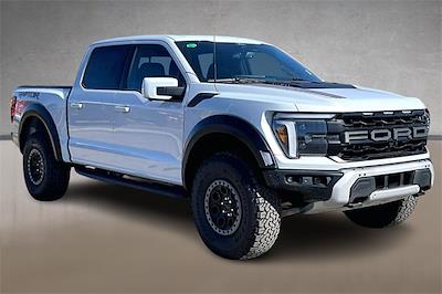 New 2025 Ford F-150 - photo 1