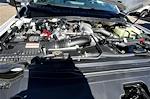 New 2026 Ford F-350 XL Regular Cab for sale #TEC86254 - photo 8