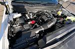 New 2026 Ford F-250 XL Regular Cab for sale #TEC99136 - photo 8