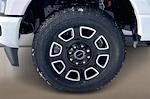 New 2026 Ford F-250 Platinum Crew Cab for sale #TED64253 - photo 12