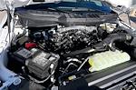 New 2026 Ford F-150 XLT SuperCrew Cab for sale #TKD09214 - photo 10