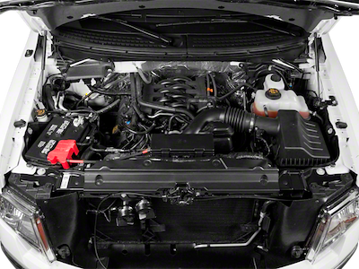 Used 2010 Ford F-150 - photo 1