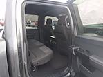 New 2025 Ford F-150 STX SuperCrew Cab for sale #SFC21666 - photo 12
