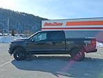 New 2026 Ford F-150 Platinum for sale #TFA15513 - photo 5