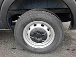 New 2026 Ford Transit 250 Medium Roof Empty Cargo Van for sale #TKA58546 - photo 10