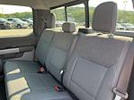 2024 Ford F-150 SuperCrew Cab 4x4 Pickup for sale #24DF178 - photo 12