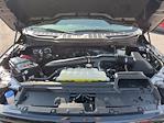 2024 Ford F-150 SuperCrew Cab 4x4 Pickup for sale #24DF178 - photo 35