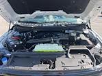 New 2024 Ford F-150 XLT SuperCrew Cab for sale #24DF182 - photo 34