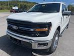 New 2024 Ford F-150 XLT SuperCrew Cab for sale #24DF182 - photo 1